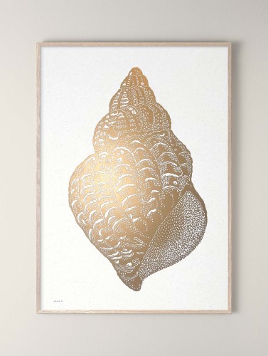 linoryt-konkylie-gold-sand-monika-petersen.jpg