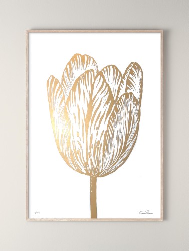 linoryt-rembrandt-tulip-gold-white-monika-petersen.jpeg