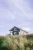 ViolaMinerva_NordivViolet_EatFinland_05-scaled.jpg.webp