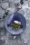 ViolaMinerva_NordivViolet_EatFinland_10-scaled.jpg.webp