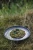 ViolaMinerva_NordivViolet_EatFinland_16-scaled.jpg.webp