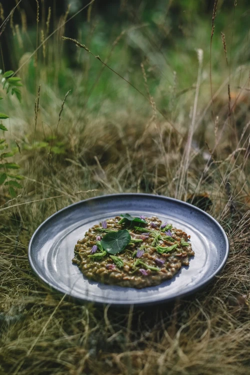 ViolaMinerva_NordivViolet_EatFinland_16-scaled.jpg.webp