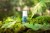 organiczny-dezodorant-rimitadeo-original-finlandia-natura.jpg